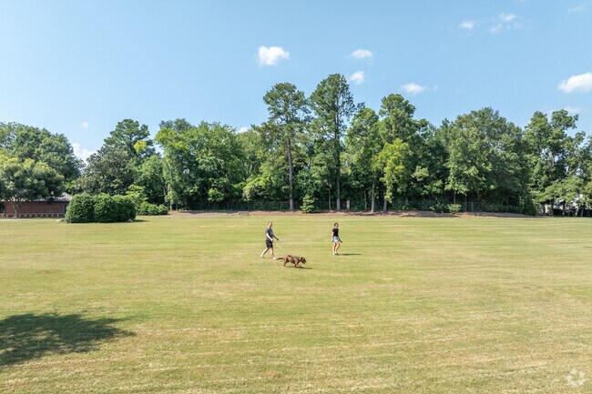 Take your dog to play at Annette M. Shelby Park near Downtown Tuscaloosa.