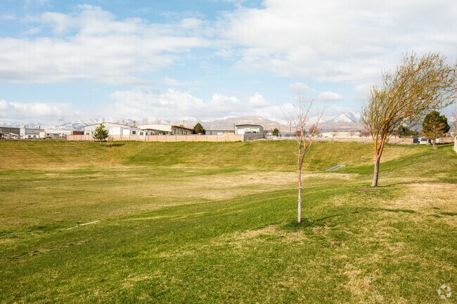 Joyful Outdoor Fun on the Grassy Fields at Wildflower Park in Copper Hills