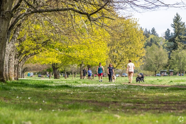 Minto-Brown Island Dog Park offers shaded trails for visitors to enjoy in South Salem.