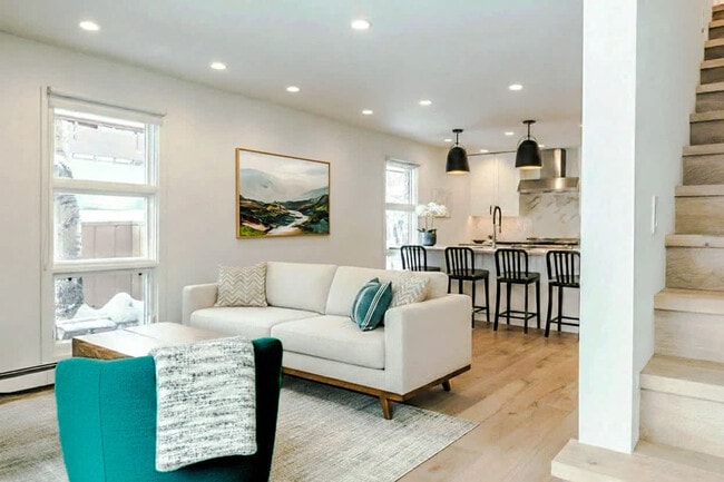 800 E Hyman Ave unit ID1337534P, Aspen, CO 81611 - photo 2