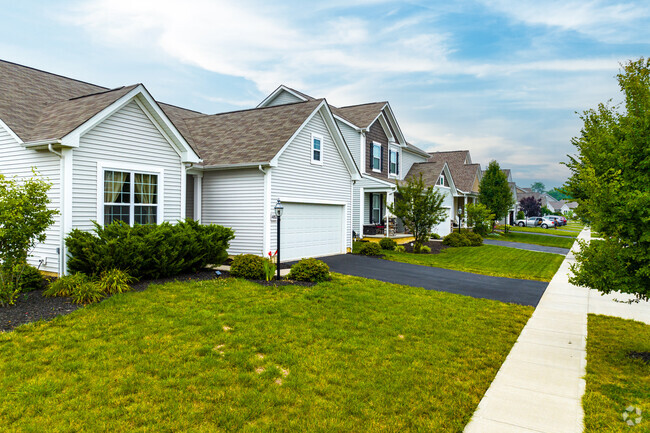 The rows of homes in Minerva Park offer