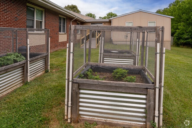 The Concept School's garden is a great way for kids to get their hands dirty while learning.