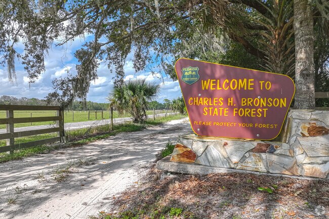 Charles Brunson State Forest is a hidden gem for locals and tourist in Christmas.