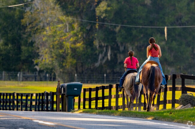 You can expect to share the road with horses in Citra, you are in the heart of horse country.