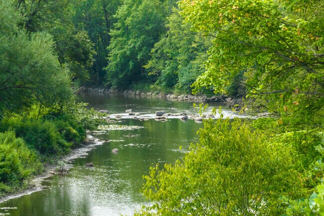 McDowell Forest Preserve residents can visit McDowell Grove to experience the DuPage River.
