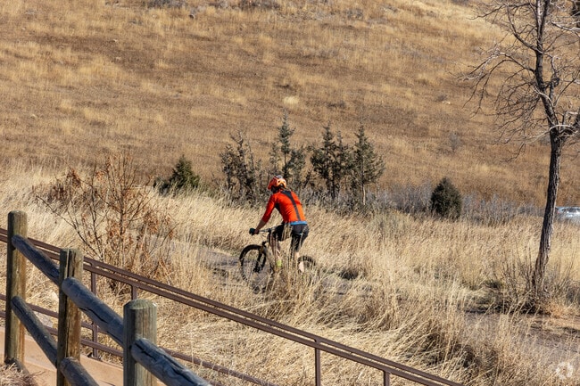 Matthews/Winters Park is a popular park for mountain biking with numerous trails.