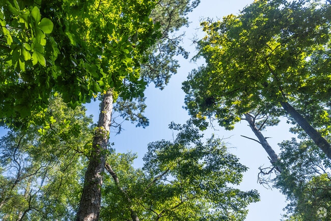 Live in Lafayatte Park in Tallahassee, FL and be part of nature.