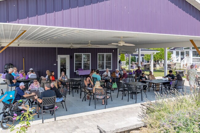 Wine enthusiasts can go 4 miles south of Massanetta Springs to the Purple Wolf Vineyard.
