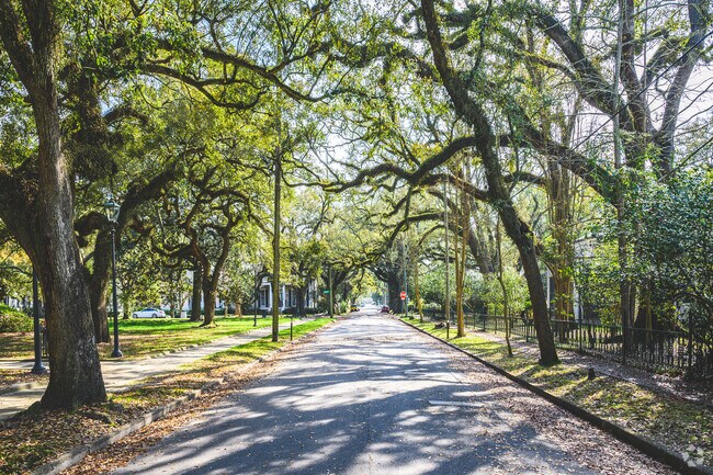 A picturesque treelined street runs through Mobile's Washington Square neighborhood.
