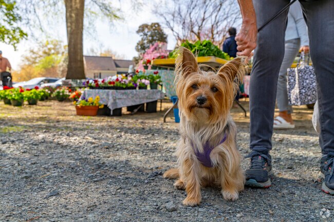 Furry residents of Big Woods Hills enjoy the great weather and outdoor lifestyle of the area.