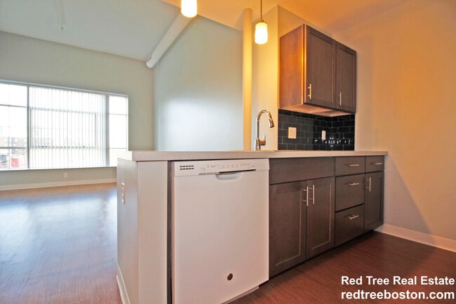 9 Williams St unit 410, Boston, MA 02119 - photo 4