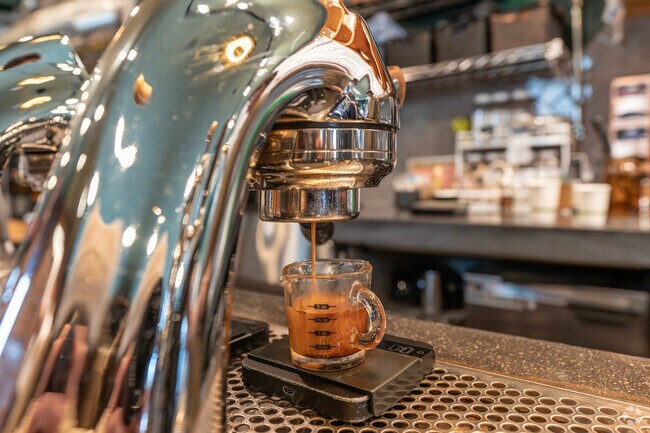 The main thoroughfare along Ditmars Boulevard offers an international array of cuisines.