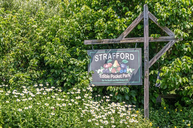 Residents can grow a variety of fruits at Strafford Edible Pocket Park.