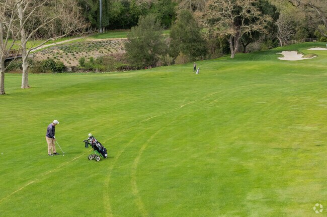 Check out the Orinda Country Club for a game of golf in Orinda Village.