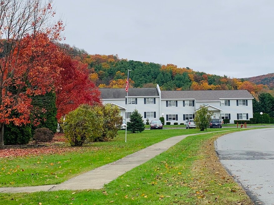 129 Mt Path unit 26, Middleburgh, NY 12122 - photo 1
