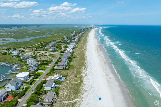 Local wildlife thrives on Figure 8 Island, offering glimpses of shorebirds, dolphins, and sea turtles in their natural habitat.