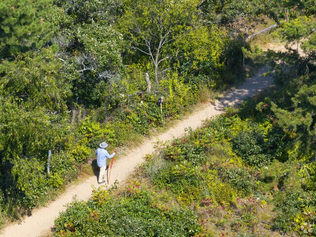 There are over 20 miles of trails covering 3500 acres at the Pine Bush Preserve.