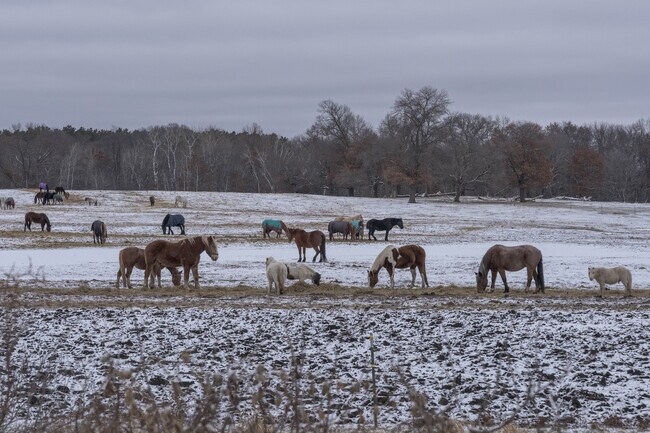 Bunker Hills Regional Park has stables and extensive trail-riding options.