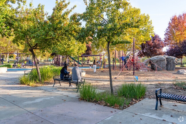Stone Creek Community Park is fun for the entire family.