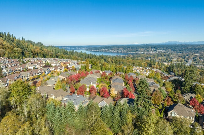 Talus is perched on the side of Cougar Mountain and offers views of Lake Sammamish.
