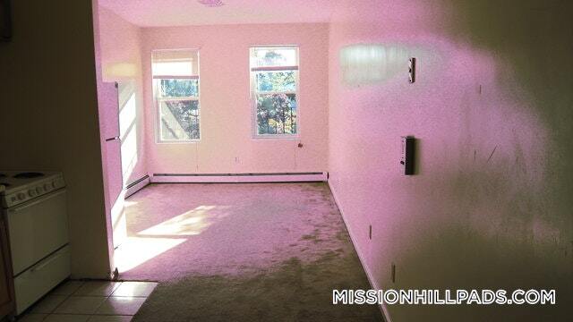 59 S Huntington Ave unit 9, Jamaica Plain, MA 02130 - photo 7