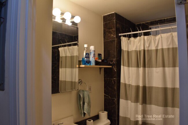 143 Hillside St, Roxbury Crossing, MA 02120 - photo 5