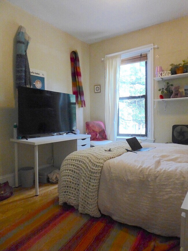 5 Warwick St, Roxbury Crossing, MA 02120 - photo 7