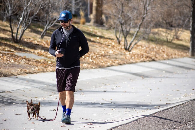 Being a very dog-friendly neighborhood, dogs are a common sight in Academy Hills Park.