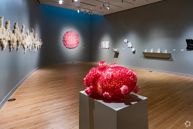 College of Wooster Art Museum showcases student exhibitions and is open to the public.