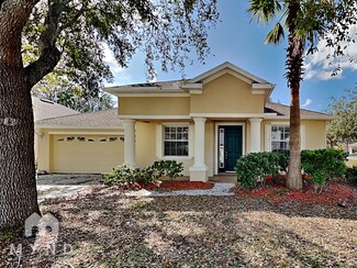 10723 Deerberry Dr, Land O' Lakes, FL 34638