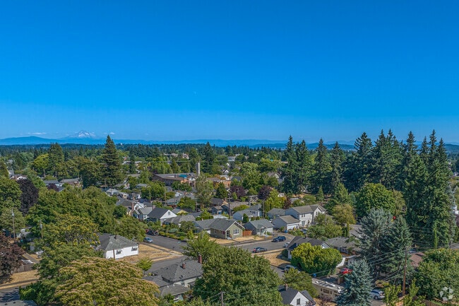 Aerial view of Carter Park, Vancouver backdropped by Mt. Hood.