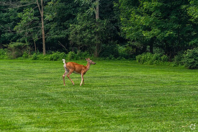 Plenty of wildlife can be found in Upper Saddle River.