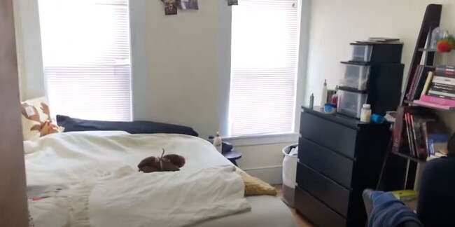 28 Cherry St unit 28A-2, Somerville, MA 02144 - photo 7