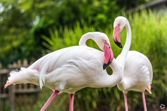 The Miller Park Zoo is just a few minutes from South Hill.