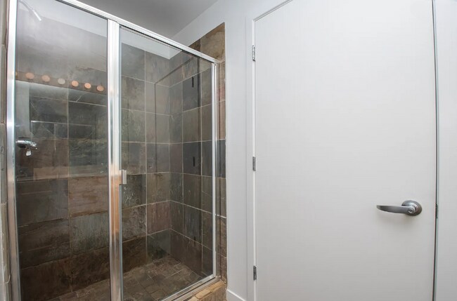 301 W Ohio St unit 1004, Chicago, IL 60654 - photo 3