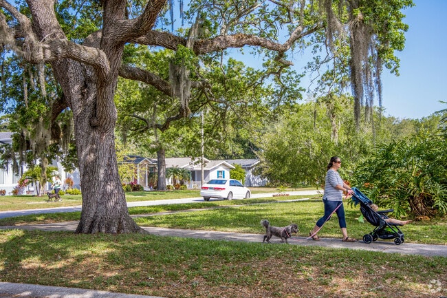 Enjoy a walk with your baby & pup around Euclid Heights.