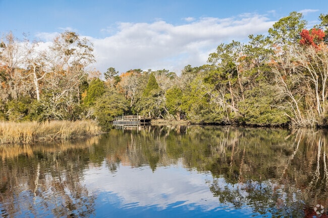 Experience the serene beauty of tall trees and winding waterways throughout Summerville.
