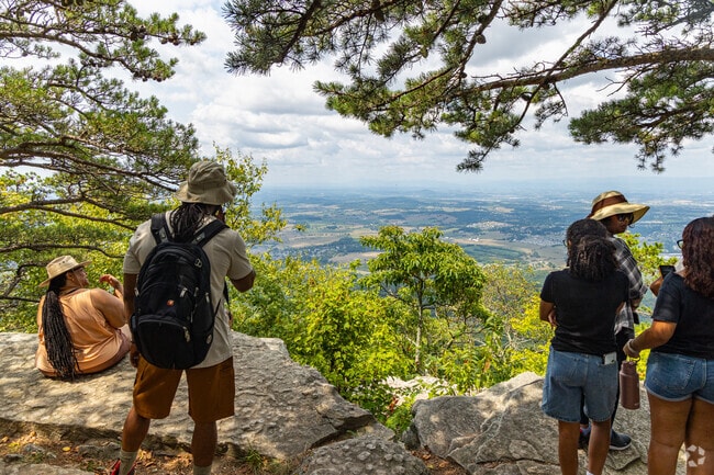 You can see almost all of the Shenandoah Valley from Massanutten Peak near Reherd Acres.