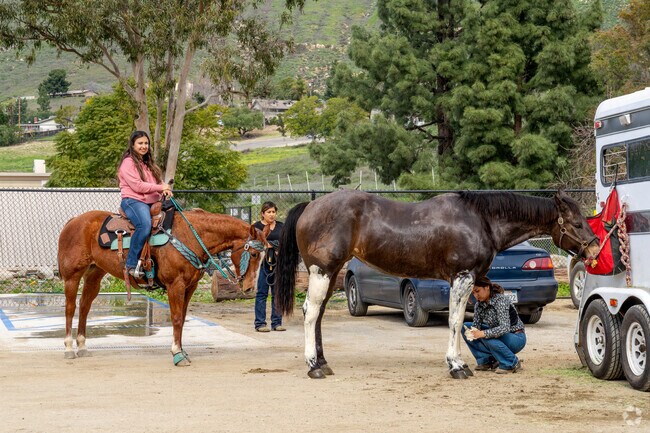 Norco is known for it's horse culture through out the neighborhood.