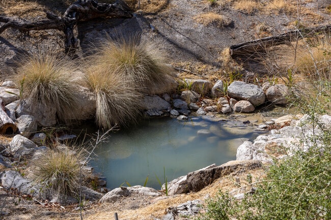 Evidence of hunters and gatherers dating back to 3500 BC has been noted at Agua Caliente's hot spring in Tanque Verde.