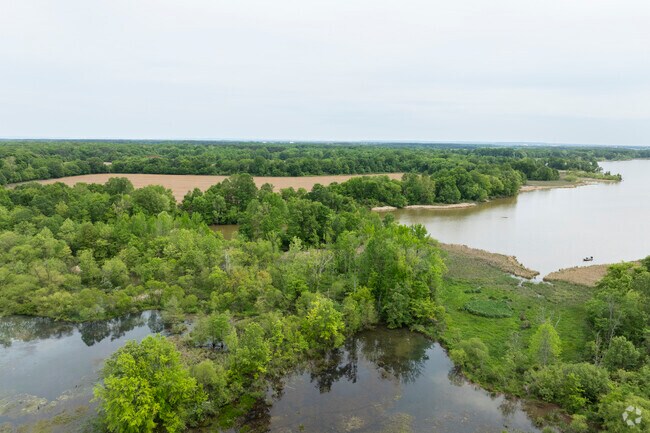 Swan Creek Wildlife Management Area in Tanner Alabama.