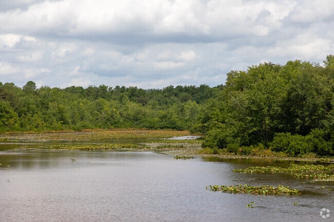 Jackson Mills Lake is a nice place to relax in Jackson.