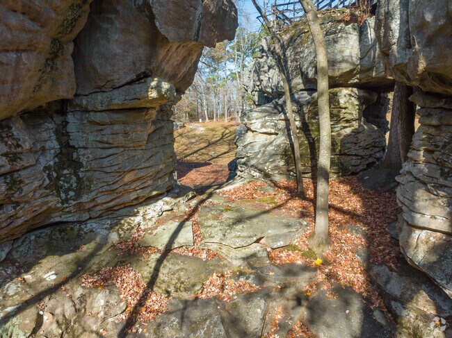 Steel Alabama has many limestone rock formations.