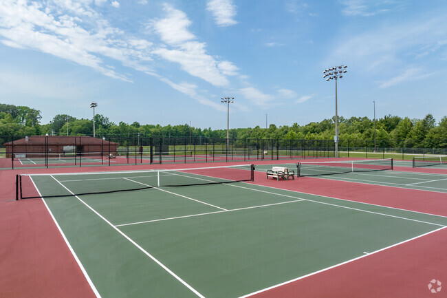 Center Hill High School has 6 lighted tennis courts.
