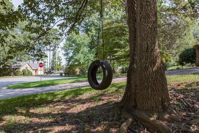 Newell South in Charlotte has great trees for hanging a swing.