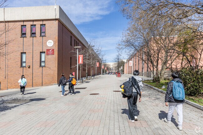 Queens High School for the Sciences has 520 students.