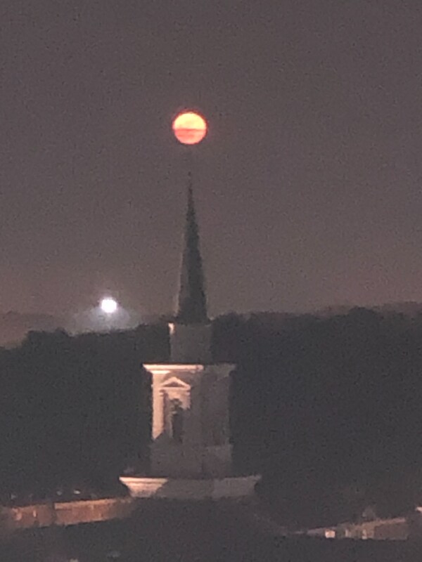 Windward Towers unit 8A, Newport News, VA 23607 - photo 2