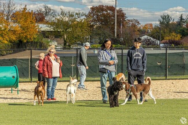 The dog park in Michael J Tully Park in New Hyde Park has sections for large & small dogs.