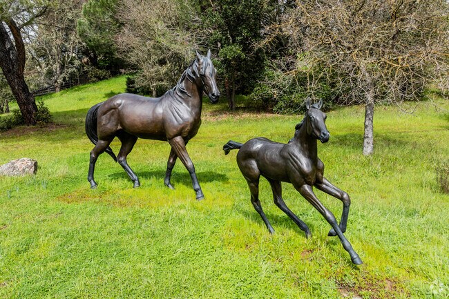 Woodside is known for it's wide open spaces and love for horse back riding.
