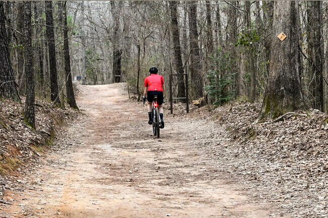 Red Mountain Park near Tarpley City offers trails and historic mine sites.